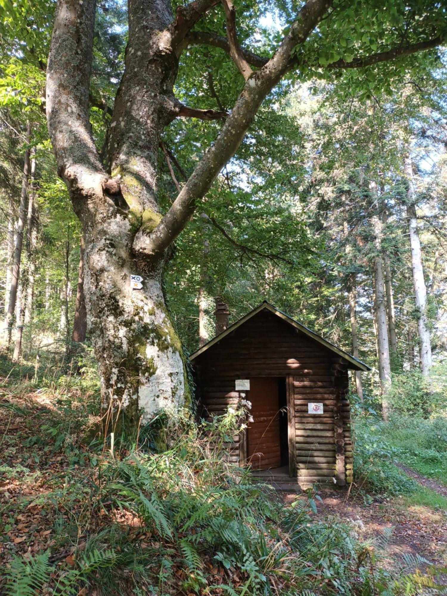 Apartamento Le Kesbel Entre Strasbourg Et Colmar En Centre Alsace Lièpvre Exterior foto